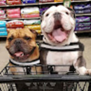 Meet your Posher, Dominique